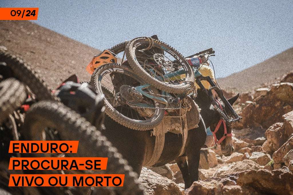 Enduro: Procura-se vivo ou morto